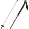 Atomic BCT Touring SQS W Poles Plum